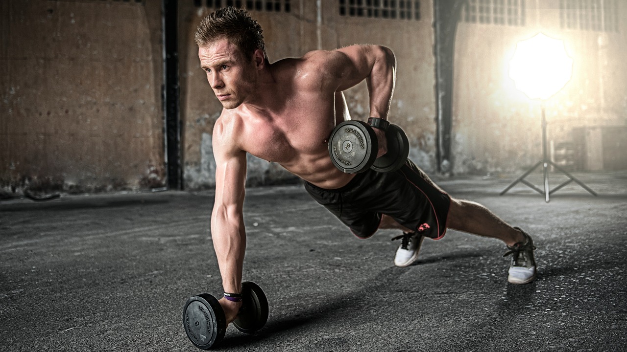 Iguanodonfit Fitness Club collection
